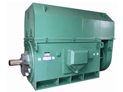 防城港Y系列6KV高压电机